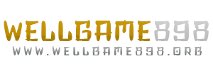wellgame898 logo